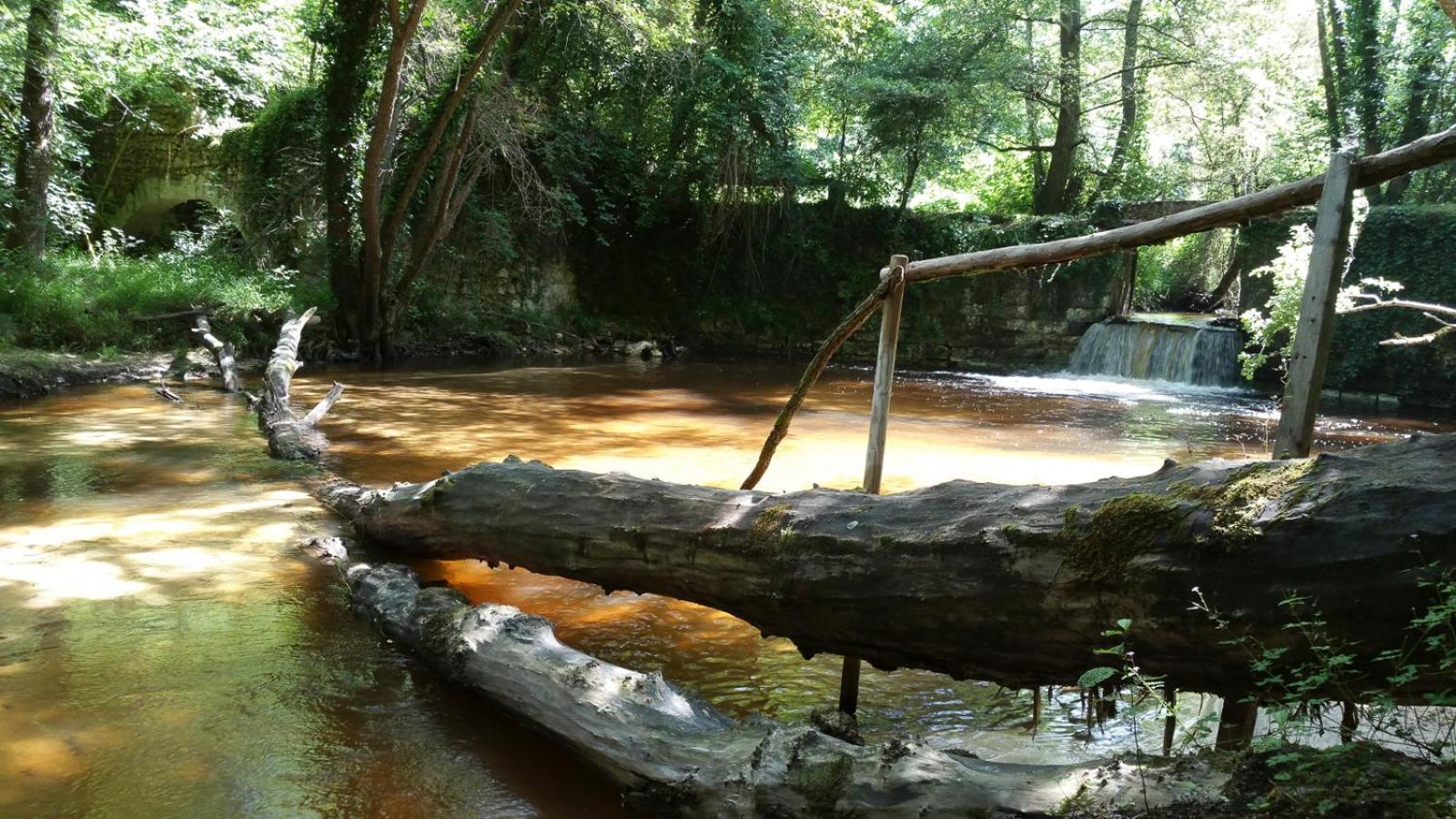 Hébergement de vacances Les Cardaires Grignols (Gironde)